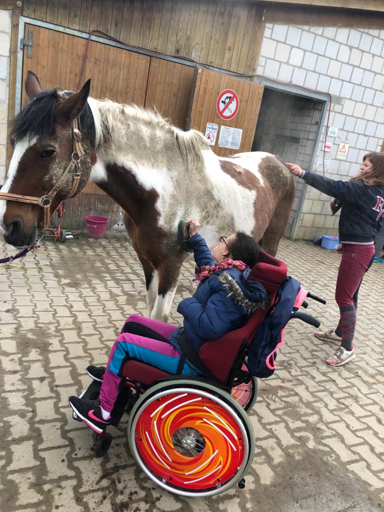 Ein Mädchen im Rollstuhl striegelt ein Pferd.