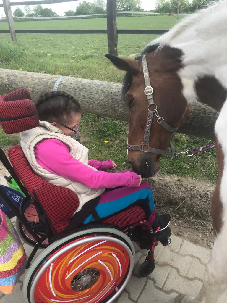 Ein Mädchen im Rollstuhl interagiert mit einem Pferd.